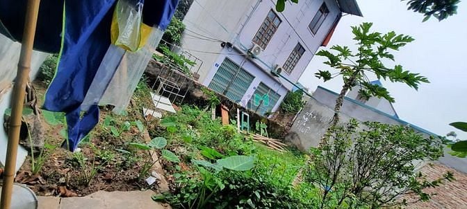 Hình ảnh Cực hiếm, đất Mỹ Đình phân lô 2 mặt thoáng 40m, giá nhỉnh 4 tỷ.
