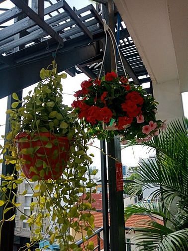 Hình ảnh Căn Hộ Cao Cấp Q3_Có Hồ Bơi_Phòng Gym_Free Các Phí