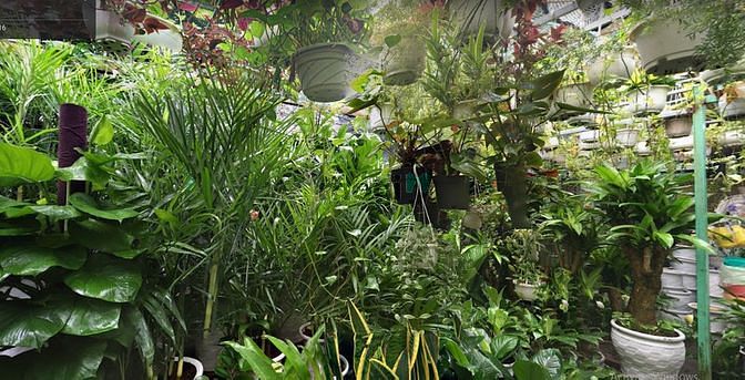 Hình ảnh Bán đất 2 mặt kiệt Ca Văn Thỉnh .DT 84m giá 4,5 tỷ nở hậu 6,92m