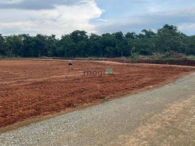 Hình ảnh 1000m2/500tr Tân Hưng ngay DT753 gần CCN Tân Hưng