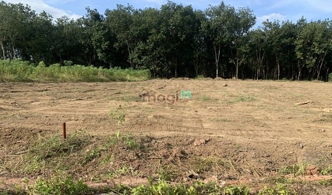 Hình ảnh Cần bán miếng đất 1000m2/380tr ở Đồng Phú gần kcn