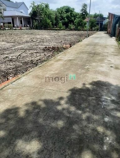 Hình ảnh Bán đất MT bê tông, P.Tân An, TP.TDM, DT:4.5x23, TC60m2, SHR, 1,450 tỷ