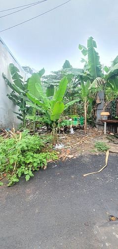 Hình ảnh Bán đất cách Lê Văn Chí 100m,Linh Trung,Thủ Đức,90m2, chỉ 5ty4, xe hơi