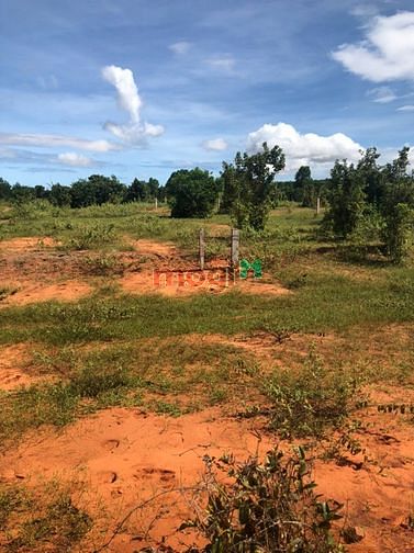 Hình ảnh Bán đất vườn Bình Thuận, sẵn sổ, cách biển 4km, giá 150k/m2