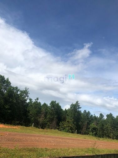 Hình ảnh Bán đất vườn Bình Thuận, sẵn sổ, cách biển 4km, giá 150k/m2