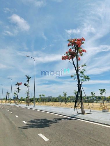 Hình ảnh Nhơn Hội New City- Đất nền viên biển Quy Nhơn