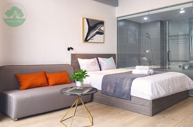 Hình ảnh Căn Hộ Cao Cấp, Bao phí - Free điện nước dịch vụ, Full Nội Thất, Q4