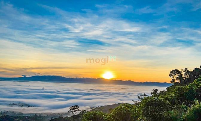 Hình ảnh Biệt thự nghĩ dưỡng TP Bảo Lộc, pháp lý minh bạch,khu vực an ninh