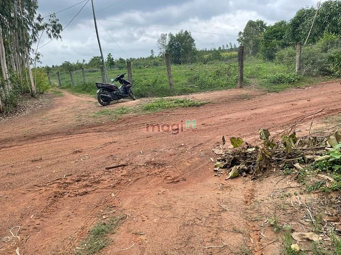 Hình ảnh Đất mẫu Hàm Tân, 2 mặt đường - cách lộ nhựa 500m SHR