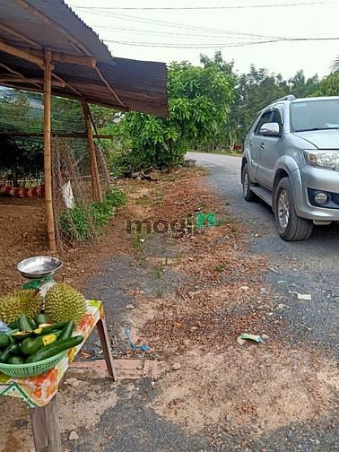 Hình ảnh Bán đất thổ cư đường 786 Bến Cầu - Tây Ninh