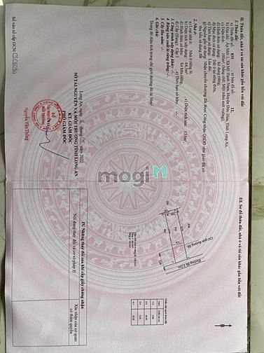 Hình ảnh Mua nhà tặng đất ,1 tỷ 350,5x20,SHR