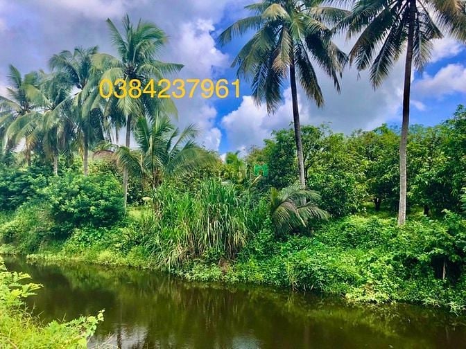 Hình ảnh Siêu phẩm tại thị trấn Định Quán