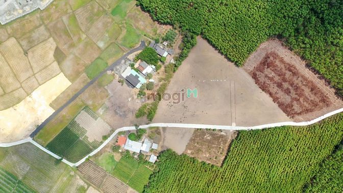 Hình ảnh Cuối tháng bán gấp 3 lô bị ngộp ạ.