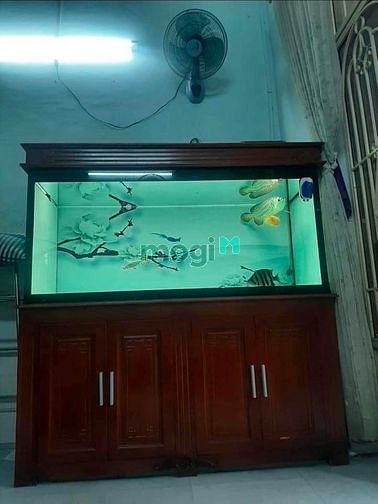 Hình ảnh Bán nhà cấp 4 đg á Lê Văn Quới B.Tân sổ Hồng riêng, 50m2