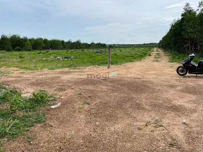 Hình ảnh Tân Phước - Tp.Lagi tương lai bán gấp 2,1sào