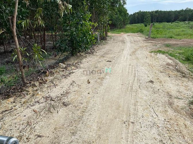 Hình ảnh Tân Phước - Tp.Lagi tương lai bán gấp 2,1sào