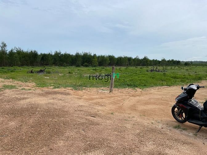 Hình ảnh Tân Phước - Tp.Lagi tương lai bán gấp 2,1sào