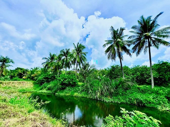 Hình ảnh Đất vườn thị trấn Định Quán, Đồng Nai, SHR