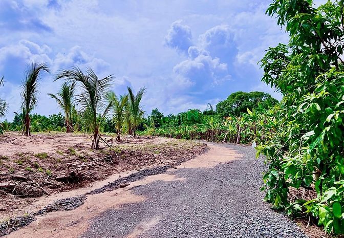 Hình ảnh Đất vườn thị trấn Định Quán, Đồng Nai, SHR