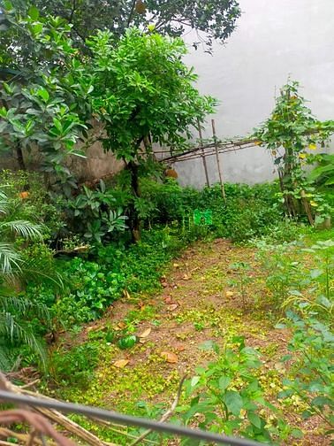 Hình ảnh Bán đất GIa Lâm - thửa vuông đẹp - Ô TÔ 7 VÀO TẬN ĐẤT
