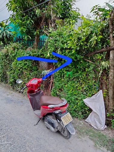 Hình ảnh Bán Đất Sổ Hồng Riêng Đường Tân Thới Nhì 1 Hóc Môn