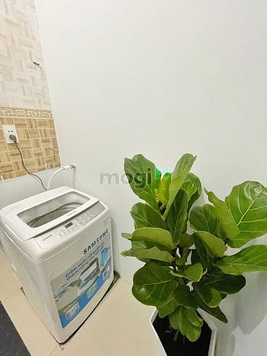 Hình ảnh CHDV cho HSSV full NT Nguyễn Kiệm