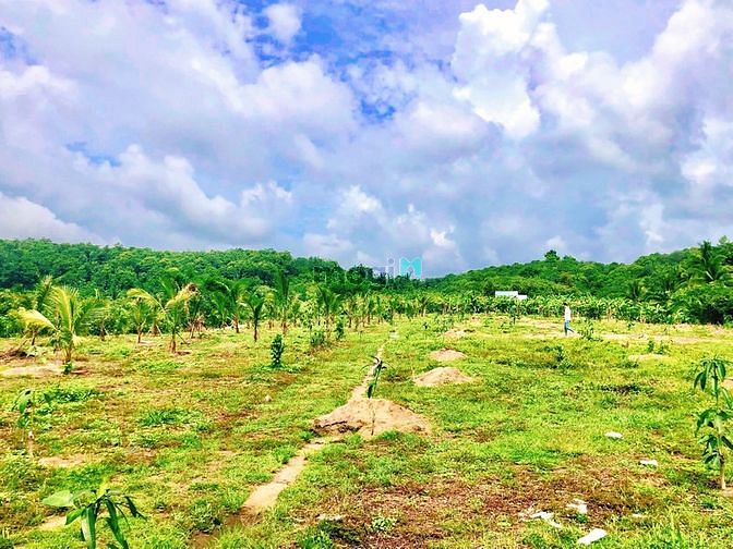 Hình ảnh Đất Gia Canh sát bên Thị Trấn Định Quán