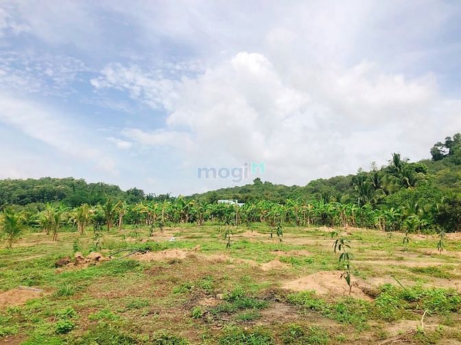 Hình ảnh Đất Gia Canh sát bên Thị Trấn Định Quán