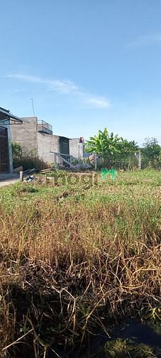 Hình ảnh 93m2 lộc trung, mỹ lộc, cần giuộc