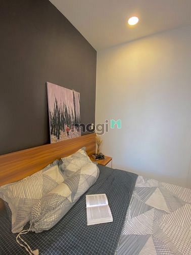 Hình ảnh Cho thuê Trang Chủ MB66.COM / Đăng Ký Tặng 66K 1PN Phan Đăng Lưu có ban công