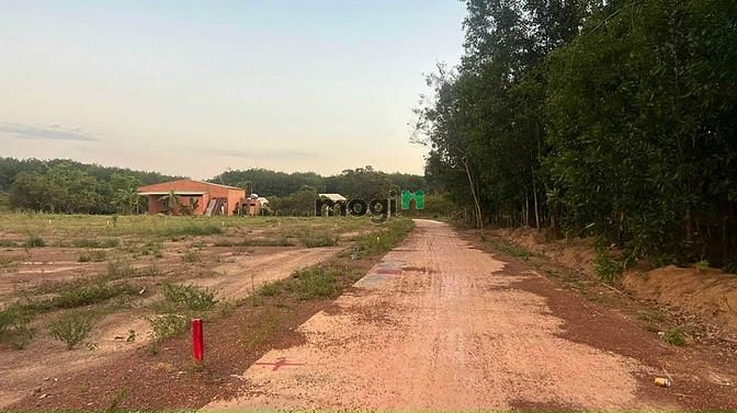 Hình ảnh Đất Sào Becamex Tân Lợi Đồng Phú Bình Phước 10x100=1000m2