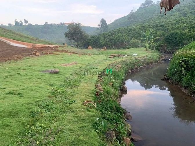 Hình ảnh Bán đất Lộc Thanh, đường betong, suối, giá 2.5tr/m2, sổ sẵn