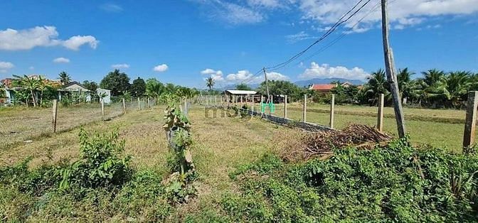 Hình ảnh Kẹt tiền bán nhanh lô ninh trung ninh hòa