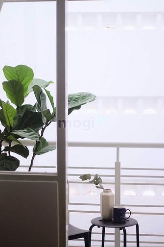 Hình ảnh Căn Hộ Siêu Rẻ Bancol Cực Hời Ngay Quận 1