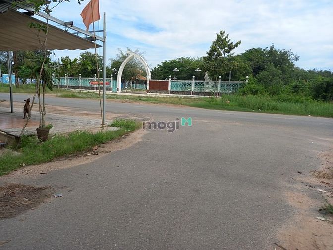 Hình ảnh Bán đất MT nhựa, Long Tân, Dầu Tiếng, DT:30x56, SHR, giá 4,2 tỷ