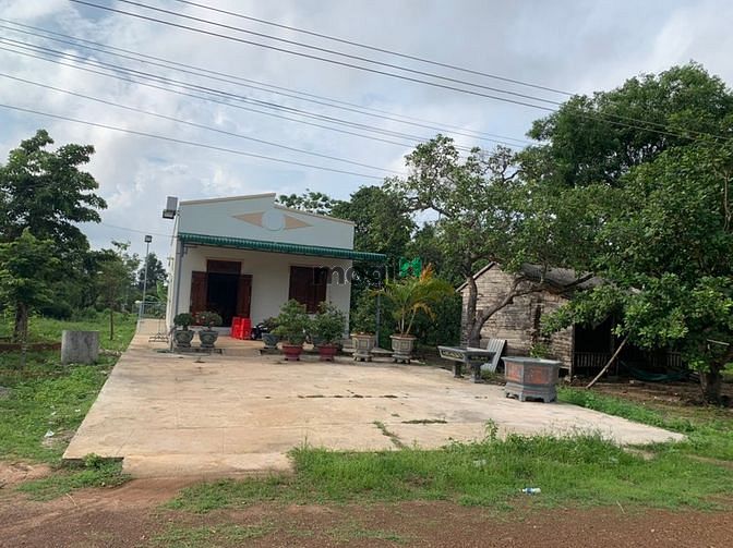 Hình ảnh Cần bán 22x50m ở Thôn 1 -Sơn Mỹ - Hàm Tân -Bình Thuận