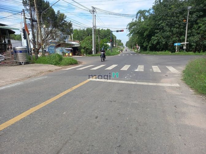Hình ảnh Bán đất MT nhựa, Long Tân, Dầu Tiếng, DT:30x56, SHR, giá 4,2 tỷ