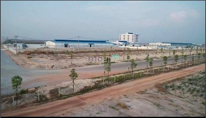 Hình ảnh Đất TTHC chơn Thành - Khu vực tiềm năng để Trang MB66.COM Chính Thức - MB 66 Uy Tín