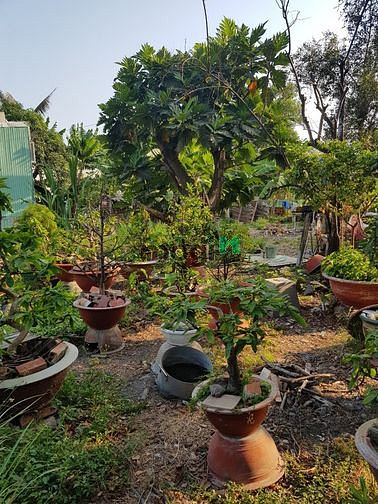 Hình ảnh Bán gấp đất, oto 8m, Hiệp Bình Thủ Đức, 1600m2, giá 17tỷ5