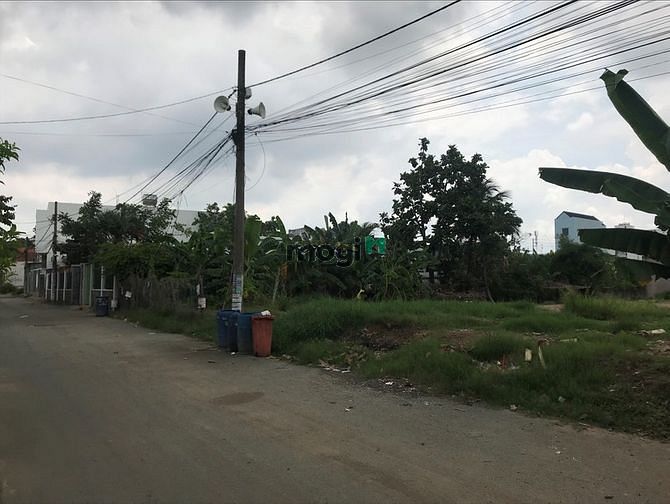 Hình ảnh Cho thuê đất đường Lò Lu, Quận 9