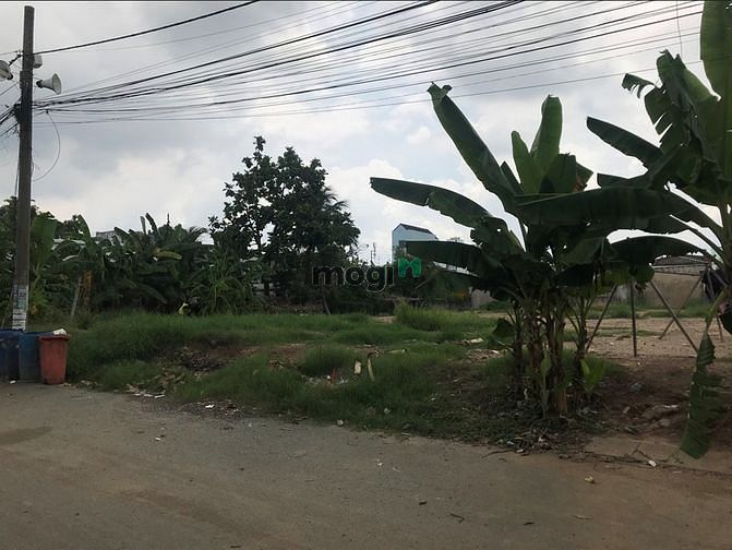 Hình ảnh Cho thuê đất đường Lò Lu, Quận 9