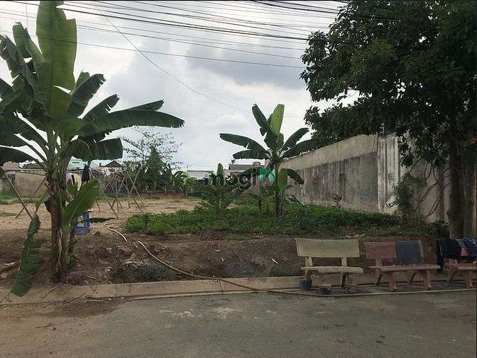 Hình ảnh Cho thuê đất đường Lò Lu, Quận 9