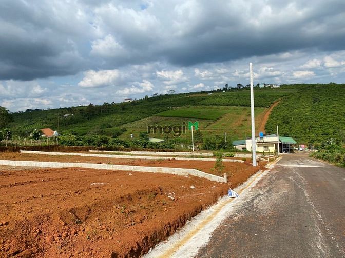 Hình ảnh Đất nền Tp Bảo Lộc giáp Đà lạt, sổ hồng riêng