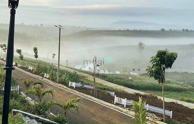 Hình ảnh Đất nền Tp Bảo Lộc giáp Đà lạt, sổ hồng riêng