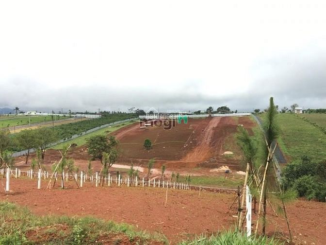 Hình ảnh Đất nền Tp Bảo Lộc giáp Đà lạt, sổ hồng riêng