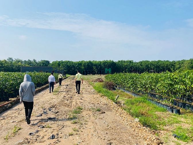 Hình ảnh HÓT HÓT HÓT đất phủ hông sát KCN bầu xéo 2