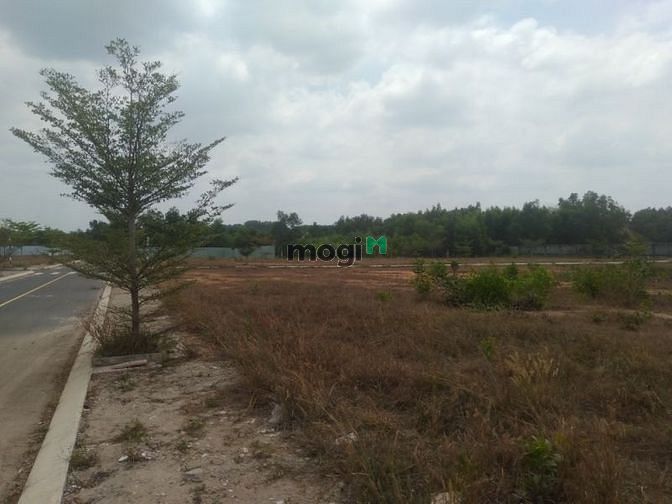 Hình ảnh HÓT HÓT HÓT đất phủ hông sát KCN bầu xéo 2