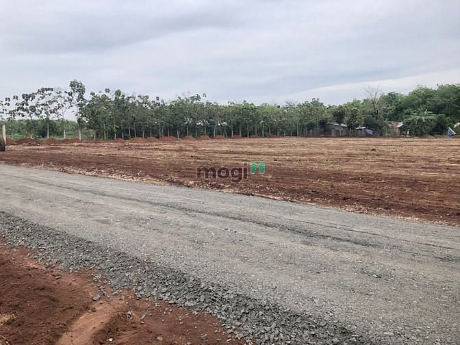 Hình ảnh Đất bán lộc ninh bình phước thuộc xã lộc thạnh huyện lộc ninh