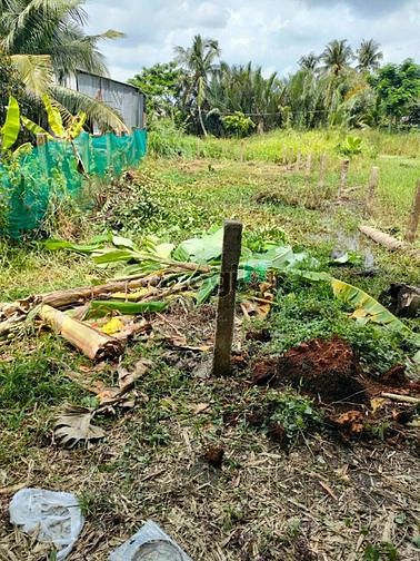 Hình ảnh Bán đất vườn tân trụ long an. 550 triệu