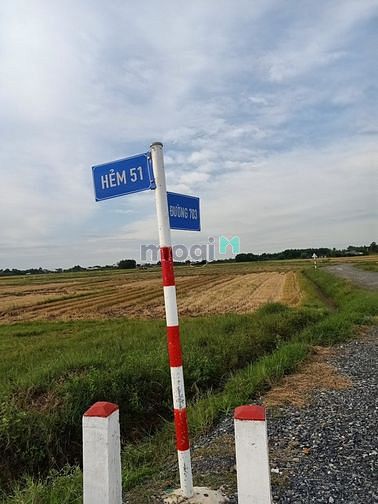Hình ảnh Cần bán đất vườn củ chi. 1.5 triệu / mét